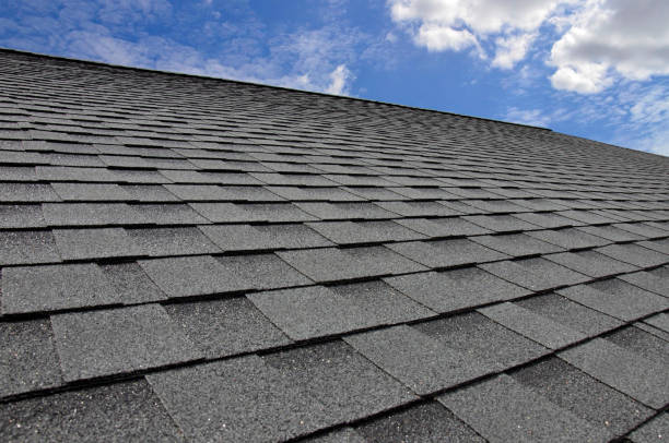 Best Sheet Metal Roofing  in Bastrop, LA